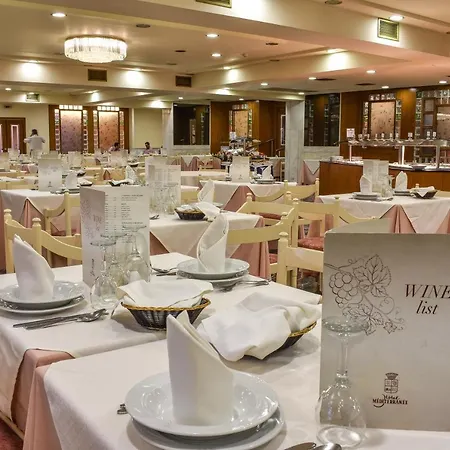 מלון Mediterranee 4*
