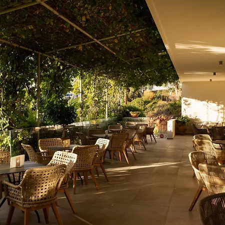 Hotel Mediterranee 4*